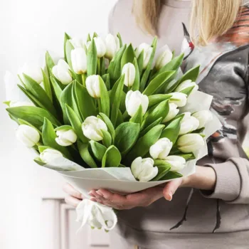 30 White Tulips Bouquet