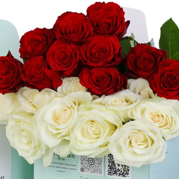 Red and White Roses in Green Box