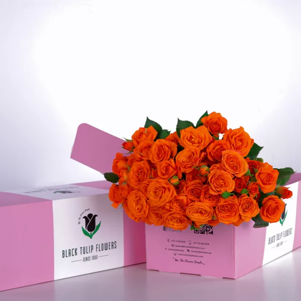 Orange Spray Roses in Pink Box