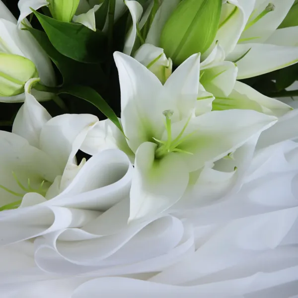 Casablanca White Lilies Bouquet Online Same Day Delivery