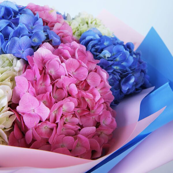 Bouquet of hydrangea online