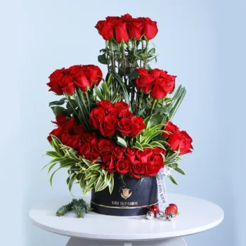 Red Roses for christmas