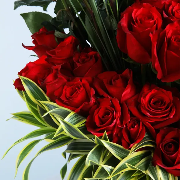 Red Roses with greenery