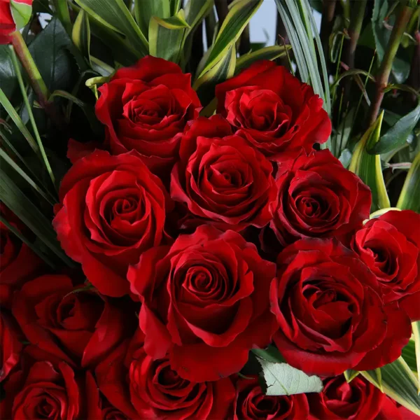 Red Roses in a box