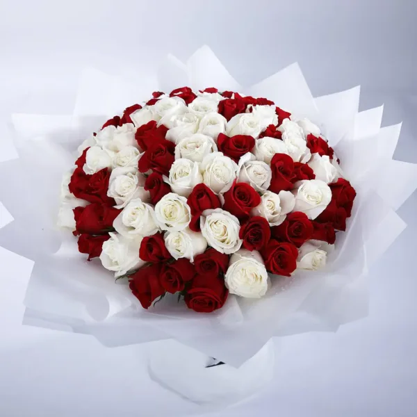 Cream and Red Flowers qatar