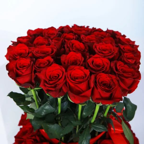 Red Roses Box for valentines