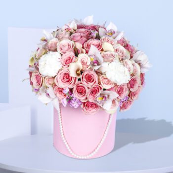 Modish Pink Combination