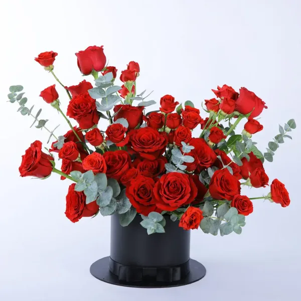 Magnetic Red Beauty of roses