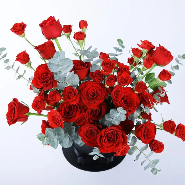 Magnetic Red Beauty red roses