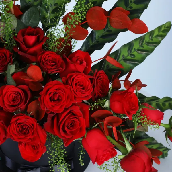 romantic red roses