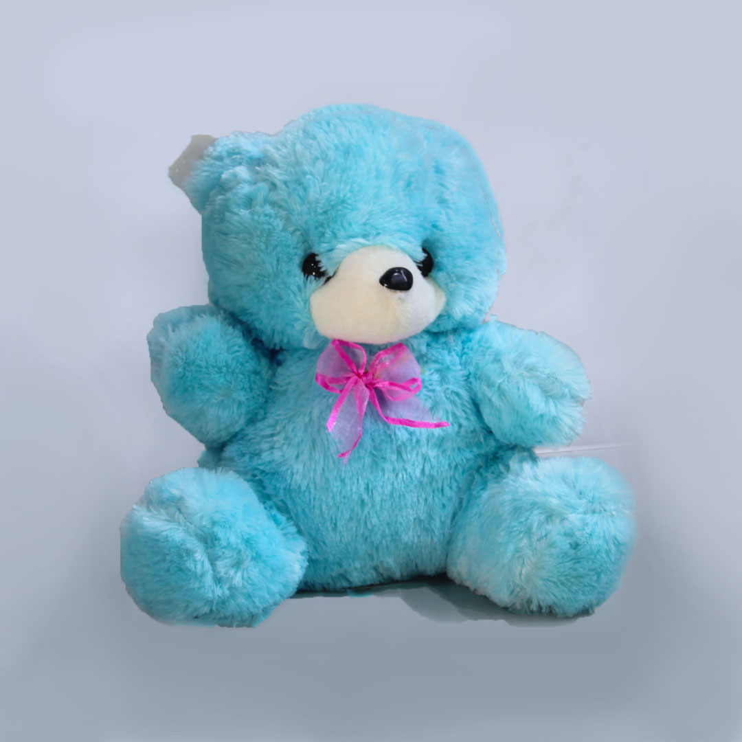 Shop 25cm Blue Teddy Bear Online Delivery