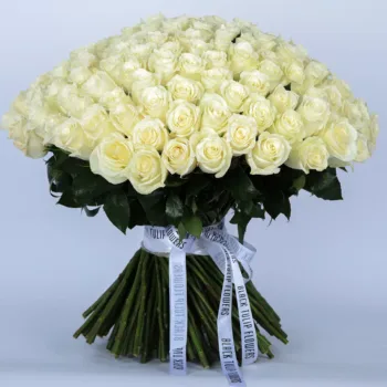 Tempting White Roses Bouquet online