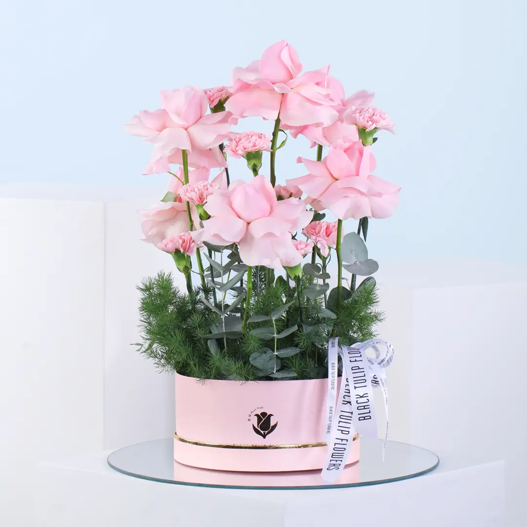 Romantic Pinkish Flower Box Black Tulip Flowers WLL