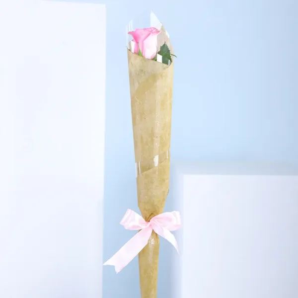 Single pink rose wrapped