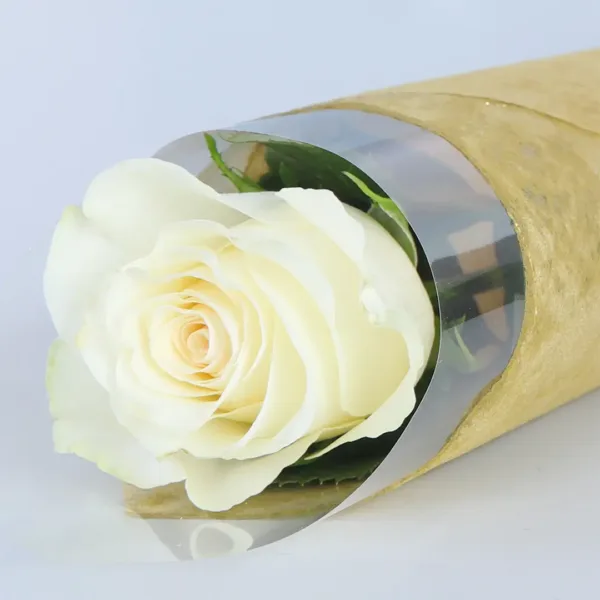 04-34 Single rose wrapped