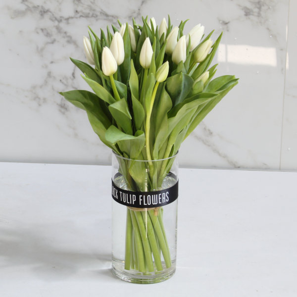 White Tulips Vase Black Tulip Flowers WLL