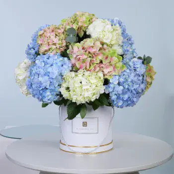 Hydrangeas for corporate