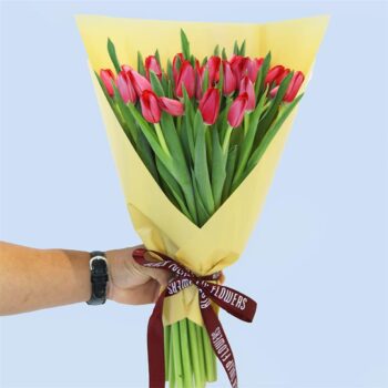 Elegant fresh red tulips wrapped in yellow paper, tied with a ribbon.