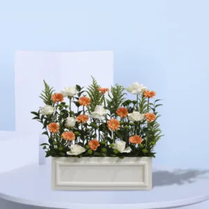 This arrangement consist of 12 Orange Gerbera 8 White Roses Greenery Box