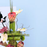 Graduate’s Garden Bloom-02