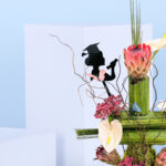 Graduate’s Garden Bloom-03