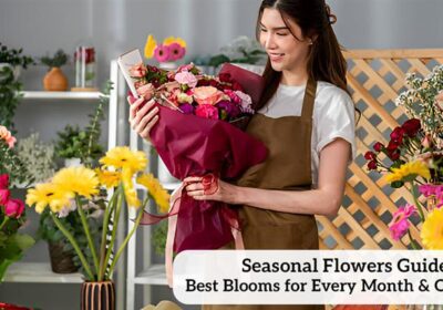 Seasonal Flowers Guide: Best Blooms for Every Month & Occasion