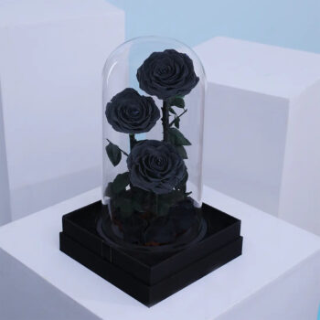 Trio of black preserved roses under dome with black base