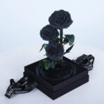 trio-black-forever-rose 02