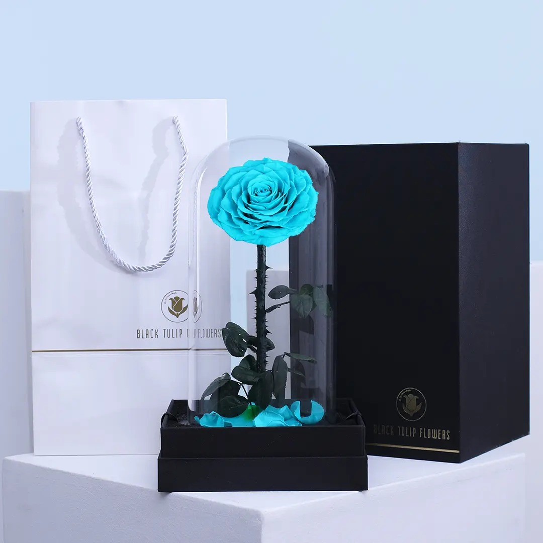 Single Light Blue Forever Rose - Black Tulip Flowers WLL