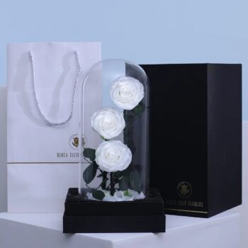Preserved White forever rose in glass dome