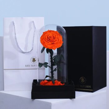 Single Orange Forever Rose in a clear dome with black base