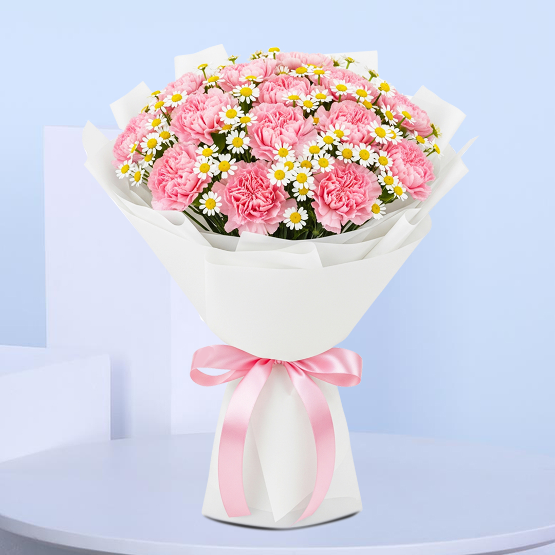 Carnation Bouquet | Light Pink Carnations