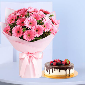 Hand-tied pink gerbera flowers with leaves in blush wrap, paired with a 1 Kg chocolate-glazed soufflé cake topped with berries.
