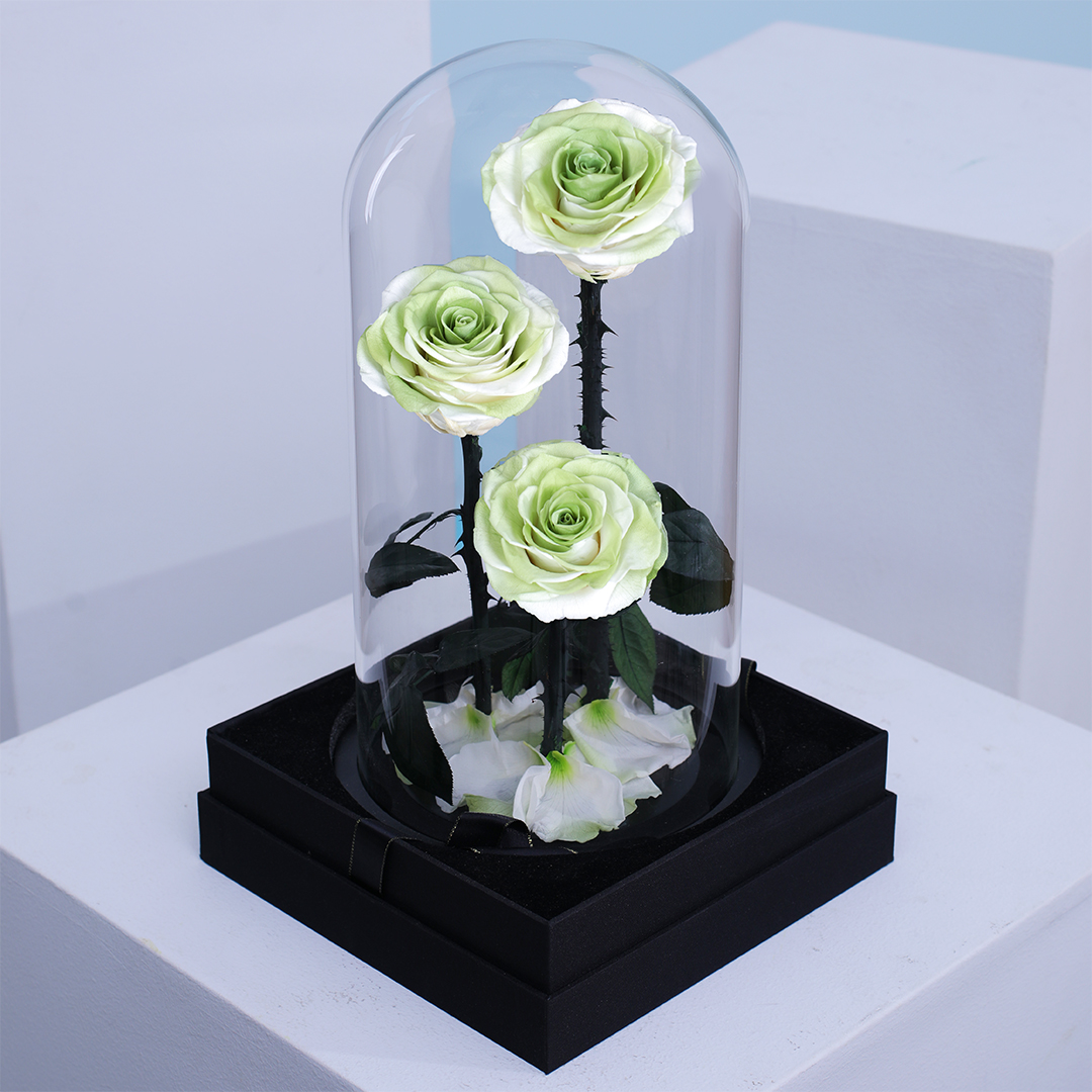Ivory Green Forever Rose Trio Dome