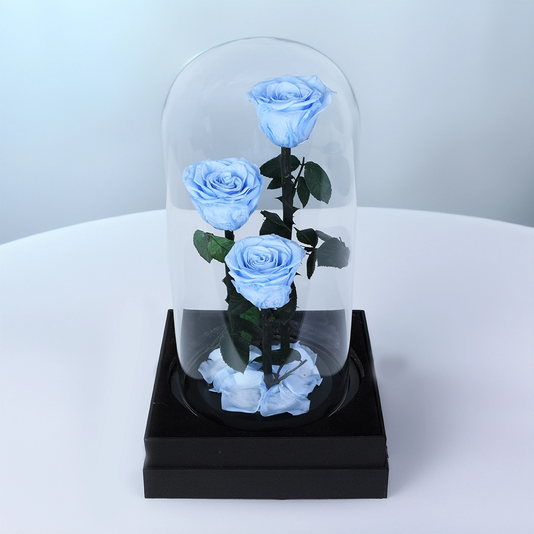 Signature Light Blue Rose Trio