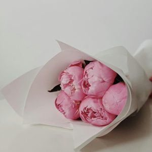 small bouquet of five delicate pink peonies is wrapped in soft, white tissue paper.